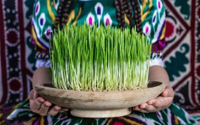 Are you ready for Nowruz? Here is how to prepare for Persian New Year! (Noruz)