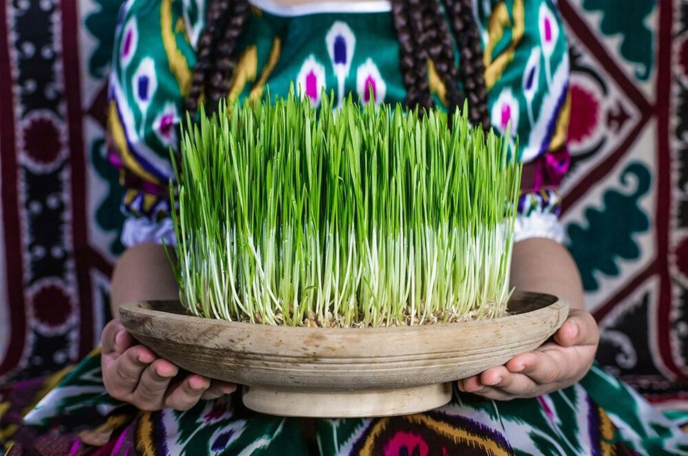 Are you ready for Nowruz? Here is how to prepare for Persian New Year! (Noruz)